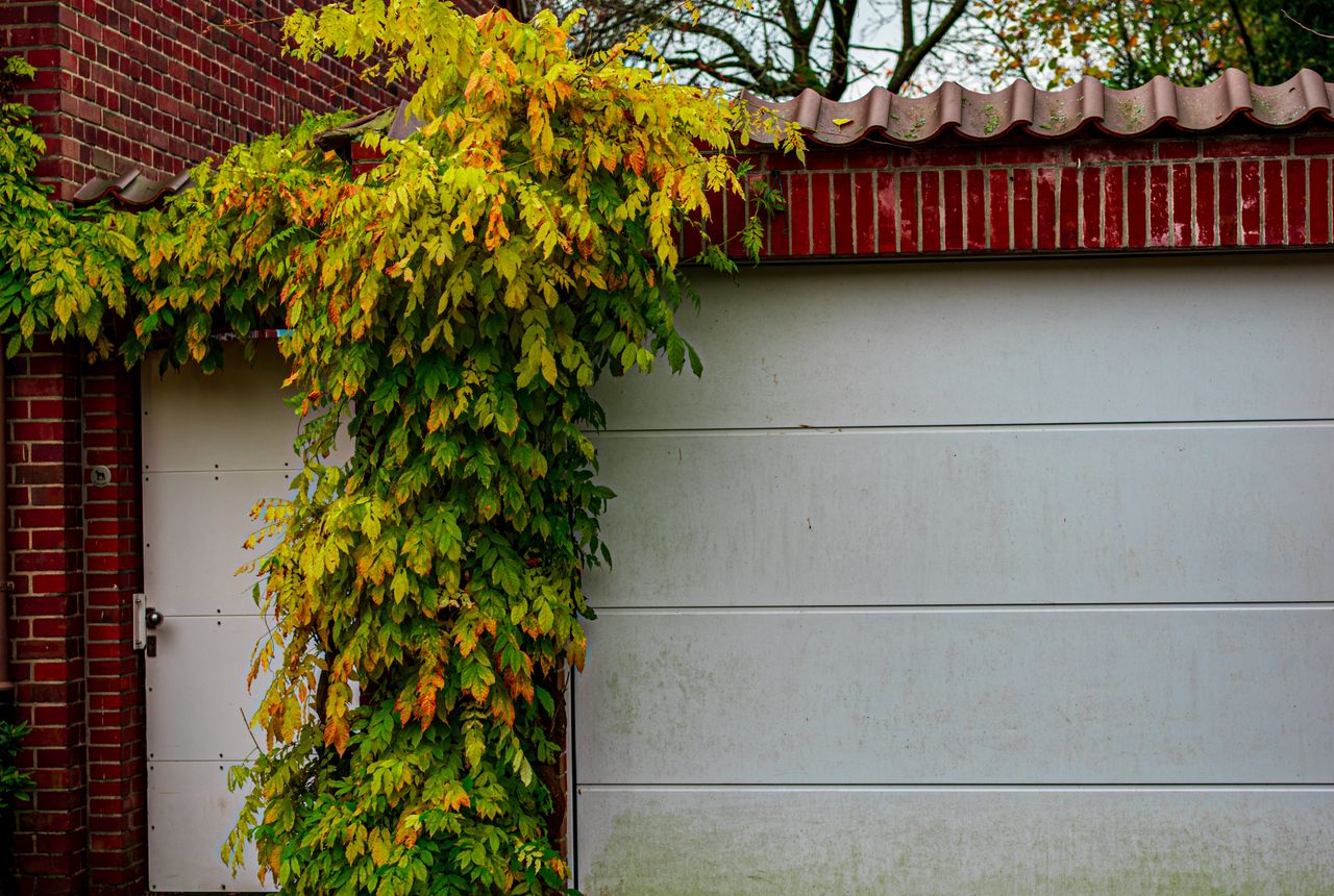 Garage door service in Overland Park, KS